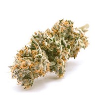 Lemon Haze 3.0 g