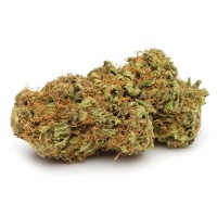 White Widow® CBD 25% 3.0 g