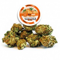 Orange Bud® 5.0 g CBD 24%